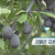 KBS1_6시 내고향_E6857_방영중 토렌트