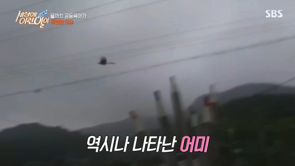 17503035496389.jpg