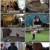 생활의 달인_E757_200803_720p