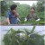 나는 자연인이다_E411_200805_720p