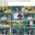 더 라이브-E172-200824_720p