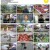 서민 갑부-E294_200825_720p