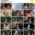 기적의 습관.E50.201027.720p-NEXT