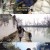 세계테마기행.E5331.201217.720p-NEXT