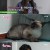 고양이를 부탁해.E120.210115.720p-NEXT