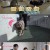 고양이를 부탁해.E129.210319.720p-NEXT