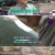 순간포착 세상에 이런일이.E1126.210323.720p-NEXT