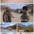 세계테마기행.E5440.210519.720p.H264-F1RST