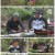 나는 자연인이다.E452.210519.720p.H264-F1RST
