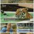 JTBC팩추얼.E01.210522.720p.H264-F1RST