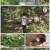 나는 자연인이다.E453.210526.720p.H264-F1RST