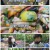 관찰 카메라 24.E192.210609.720p.H264-F1RST