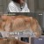 세상에 나쁜 개는 없다.E212.210625.720p-NEXT