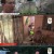 나는 자연인이다.E459.210707.720p-NEXT