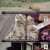 팔도밥상.E222.210717.720p.H264-F1RST
