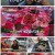 관찰 카메라 24.E198.210721.720p.H264-F1RST