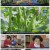 한국인의 밥상.E521.210722.720p.H264-F1RST