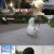 고양이를 부탁해.E147.210723.720p-NEXT