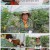 2TV 생생정보.E1363.210723.720p.H264-F1RST