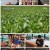 세계테마기행.E5497.210810.720p.H264-F1RST