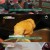 관찰카메라 24.E201.210811.720p-NEXT