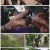 세계테마기행.E5499.210812.720p.H264-F1RST