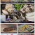 팔도밥상.E223.210814.720p.H264-F1RST