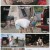 다시 인생, 죽기 전에 꼭 한번.E08.210819.1080p.H264-F1RST