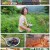 2TV 생생정보.E1374.210823.720p.H264-F1RST