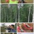 세계테마기행.E5508.210825.1080p.H264-F1RST