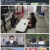 sbs뉴스토리.E342.210828.1080p.H264-F1RST