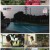 맨 인 블랙박스.E433.210829.1080p.H264-F1RST