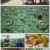 세계테마기행.E5511.210830.1080p.H264-F1RST