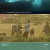KBS 다큐 클래식.E06.210905.720p-NEXT