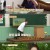 산전수전 여고동창생.E43.210912.720p-NEXT