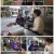 세계테마기행.E5524.210916.1080p.H264-F1RST