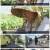 인간극장.E5152.210918.1080p.H264-F1RST
