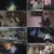 그것이 알고 싶다.E1021.160305.의문의 마지막 전화 발신자, 주유소 살인.720p-NEXT