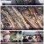 한국인의 밥상.E530.210930.1080p.H264-F1RST
