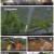 6시 내고향.E7384.211014.1080p.H264-F1RST