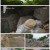 환경스페셜.E28.211021.1080p.H264-F1RST
