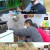 현장르포 특종세상.E503.211104.720p-NEXT