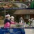 다큐 인사이트.E102.211125.720p-NEXT