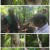 다큐 프라임.E1135.211129.1080p.H264-F1RST