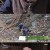 나는 자연인이다.E480.211201.720p-NEXT