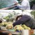 다큐멘터리 3일.E711.220123.720p-NEXT