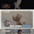 순간포착 세상에 이런일이.E1174.220405.720p-NEXT