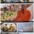 6시 내고향.E7505.220406.720p.H264-F1RST