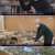 한국인의 밥상.E556.220407.720p-NEXT