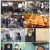 2TV 생생정보.E1528.220413.720p.H264-F1RST